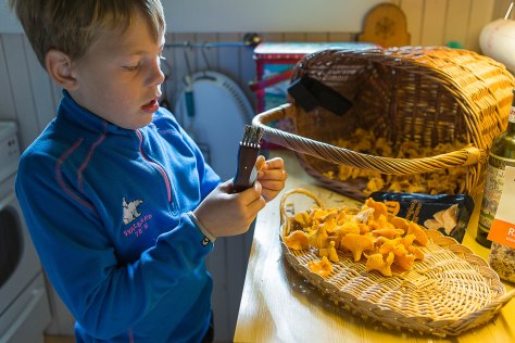 FØRST PLUKKE, SÅ RENSE Fredrik børster bort alle rester av jord på soppen.