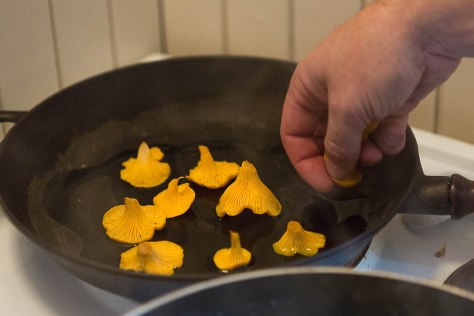 SPRØSTEKT TIL PYNT Lager du risotto, kan du med fordel sprøsteke noen kantareller som garnityr på den ferdige retten.