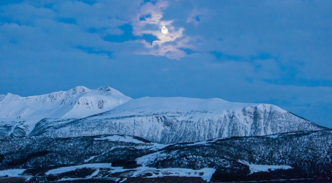 Ord om &laquo;Ord om&raquo;